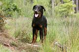 BEAUCERON 415